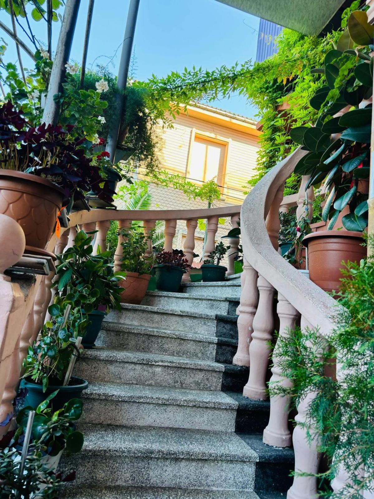 Nana'S House Hotell Batumi Exteriör bild